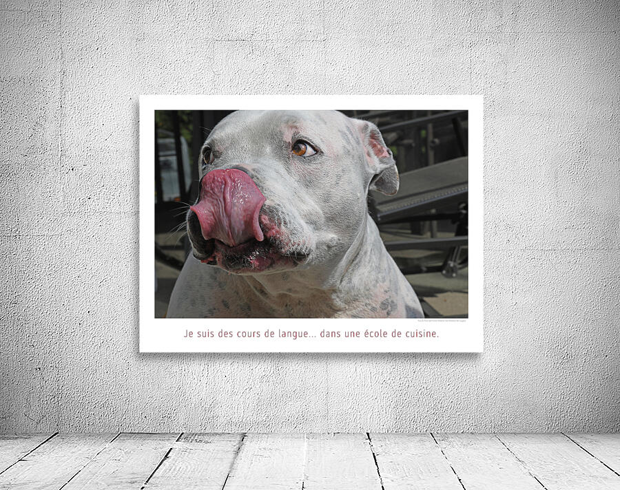 CORDON ROUGE Wall Preview