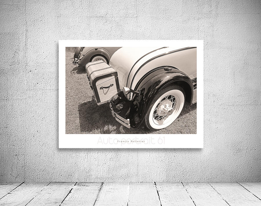 AUTO PORTRAIT 61 Wall Preview