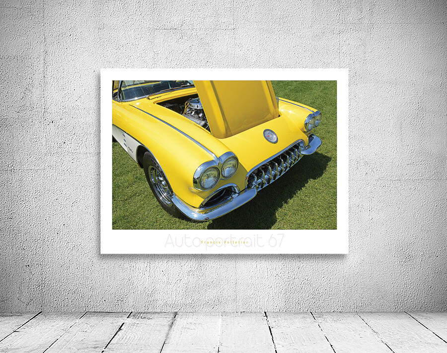 AUTO PORTRAIT 67 Wall Preview