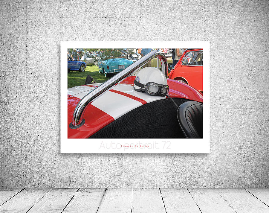 AUTO PORTRAIT 72 Wall Preview