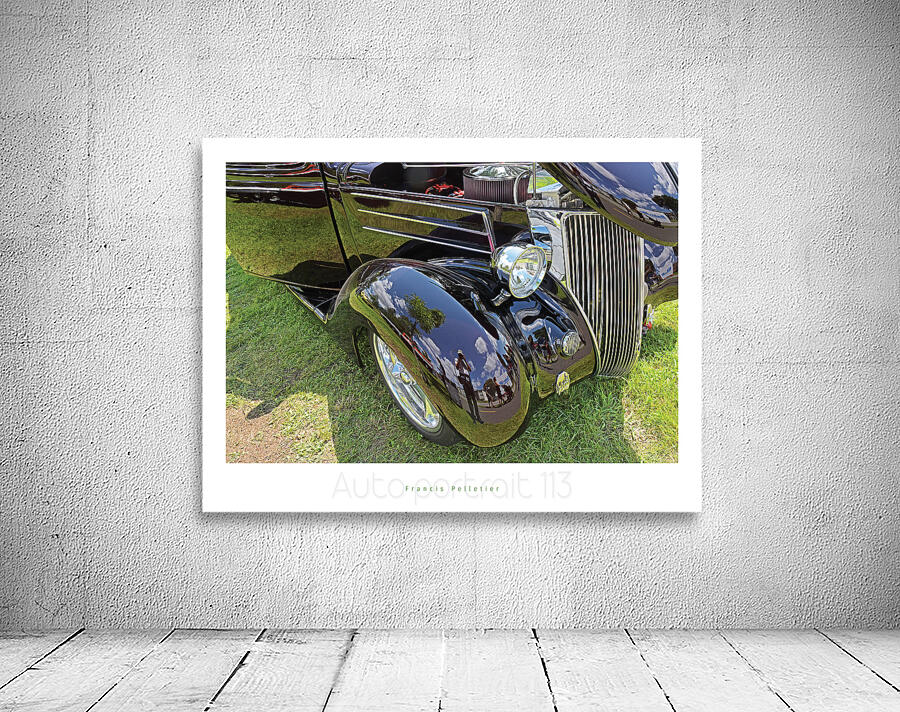 AUTO PORTRAIT 113 Wall Preview