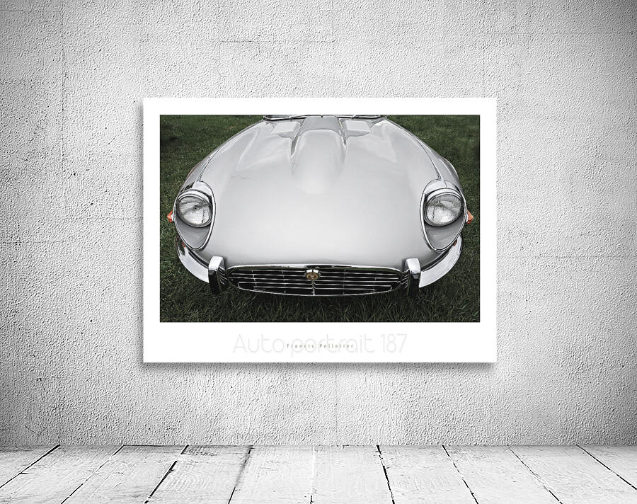 AUTO PORTRAIT 187 Wall Preview