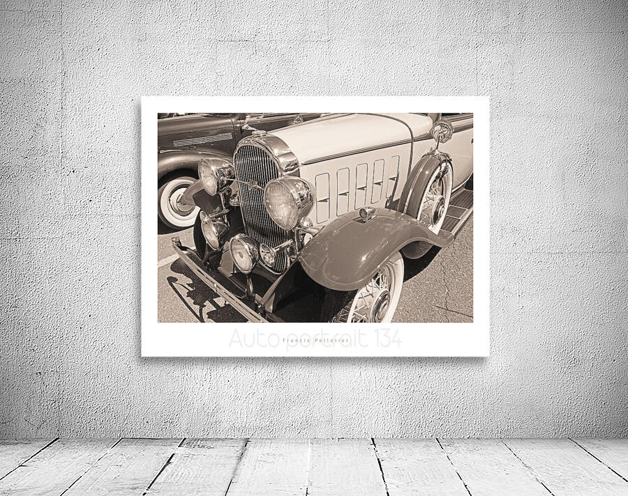 AUTO PORTRAIT 134 Wall Preview