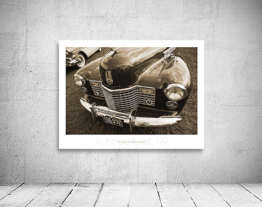 AUTO PORTRAIT 149 Wall Preview