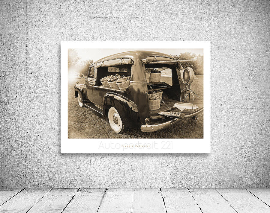 AUTO PORTRAIT 221 Wall Preview