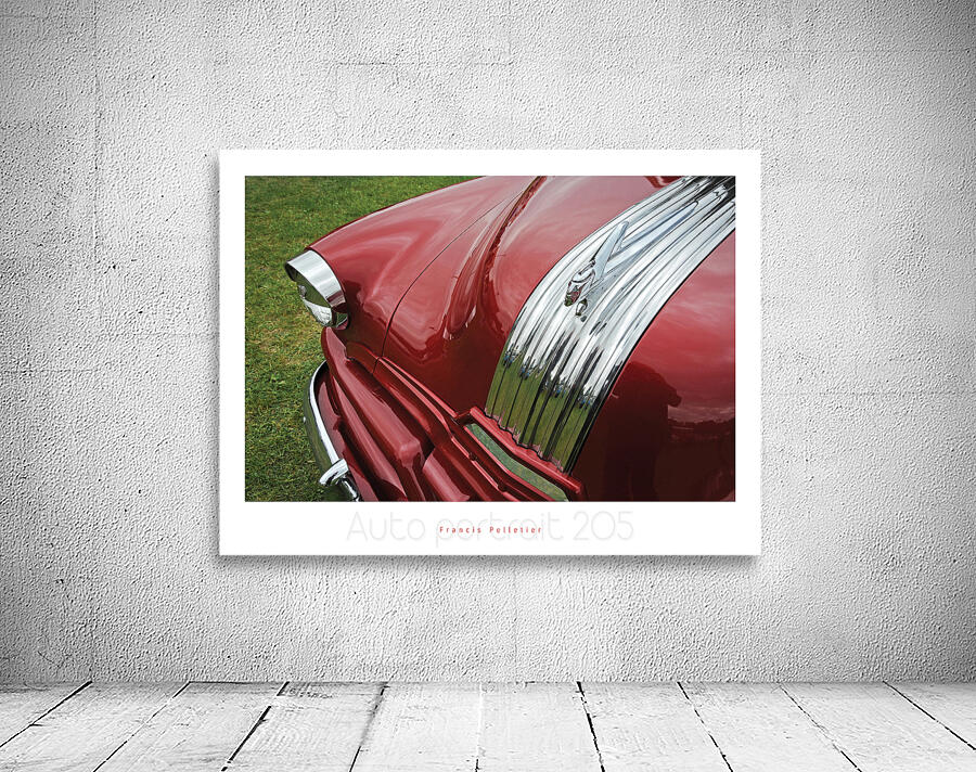 AUTO PORTRAIT 205 Wall Preview