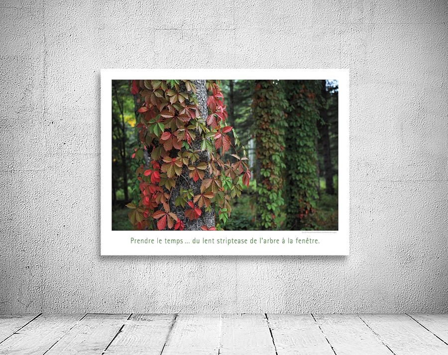 L EFFEUILLEUR Wall Preview