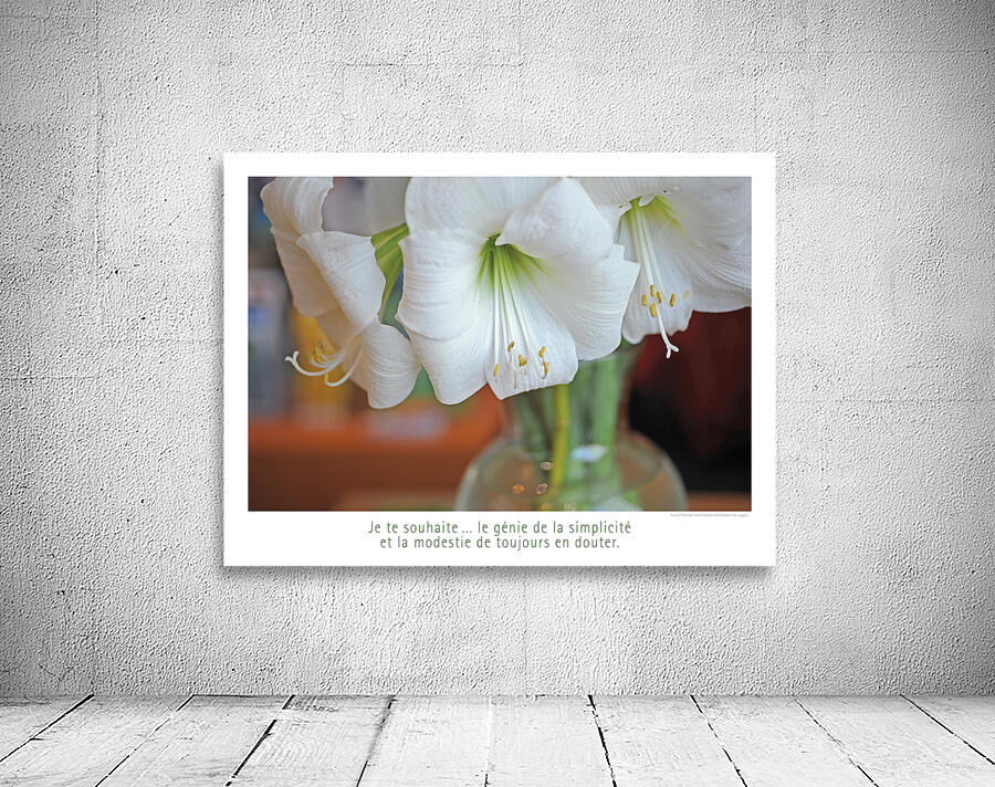 LE GENIE DE LA SIMPLICITE Wall Preview