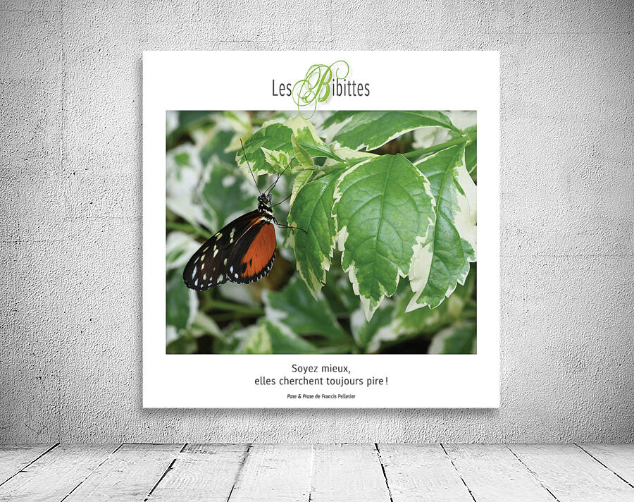 LES BIBITTES 13 Wall Preview