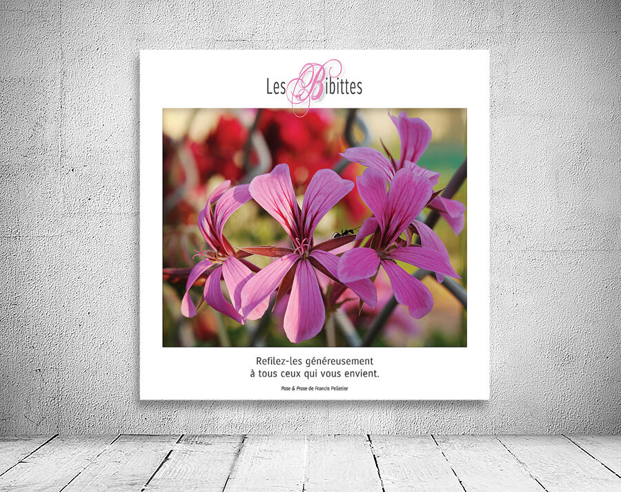 LES BIBITTES 12 Wall Preview