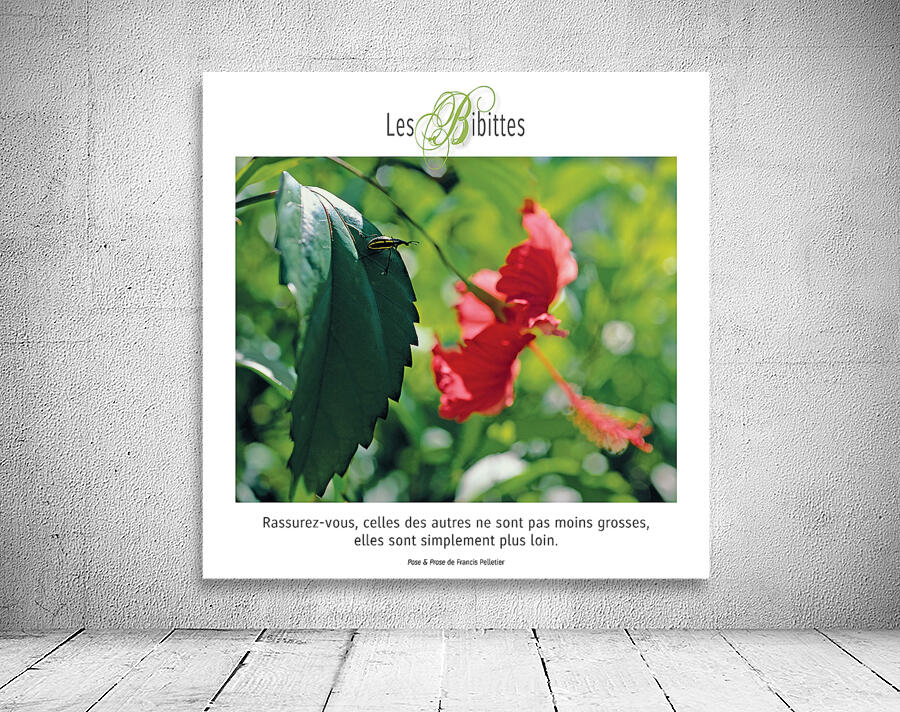 LES BIBITTES 4 Wall Preview