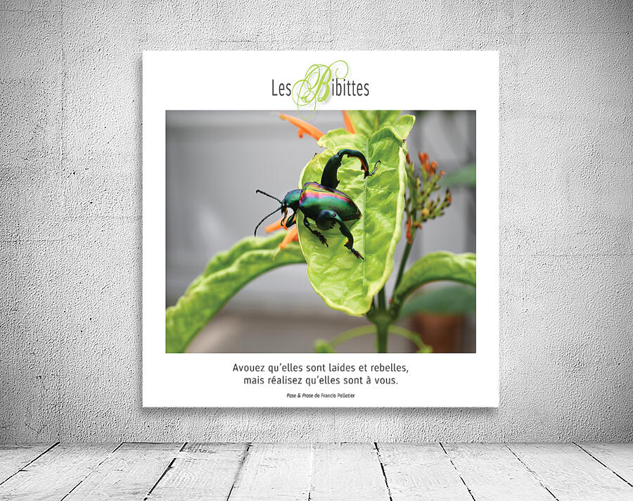 LES BIBITTES 3 Wall Preview