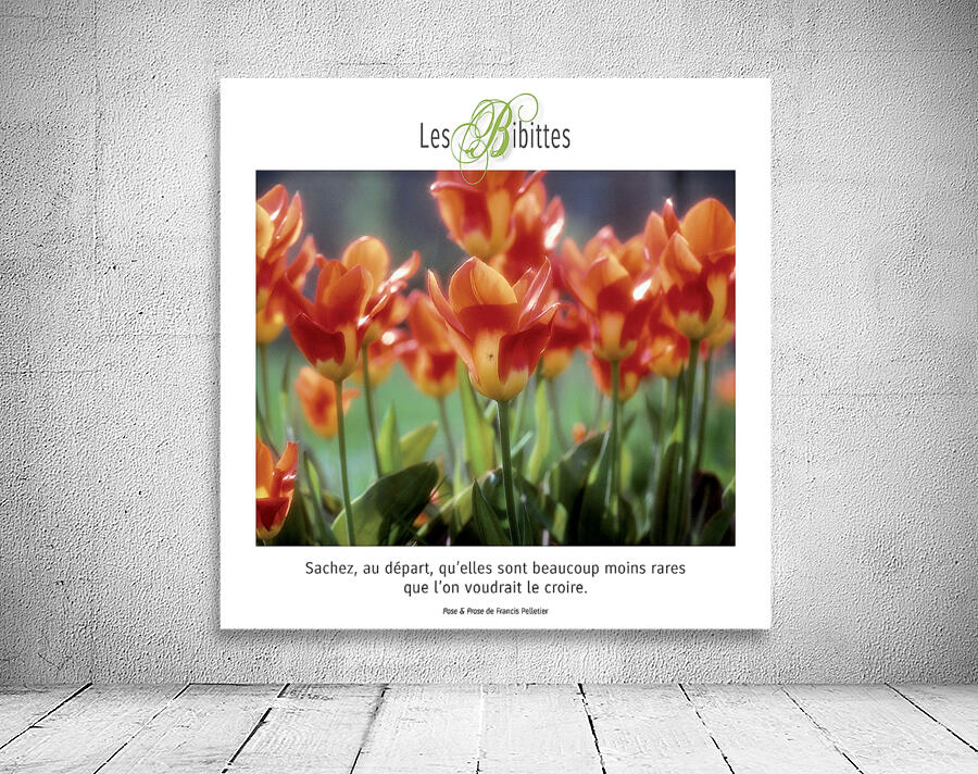 LES BIBITTES 2 Wall Preview
