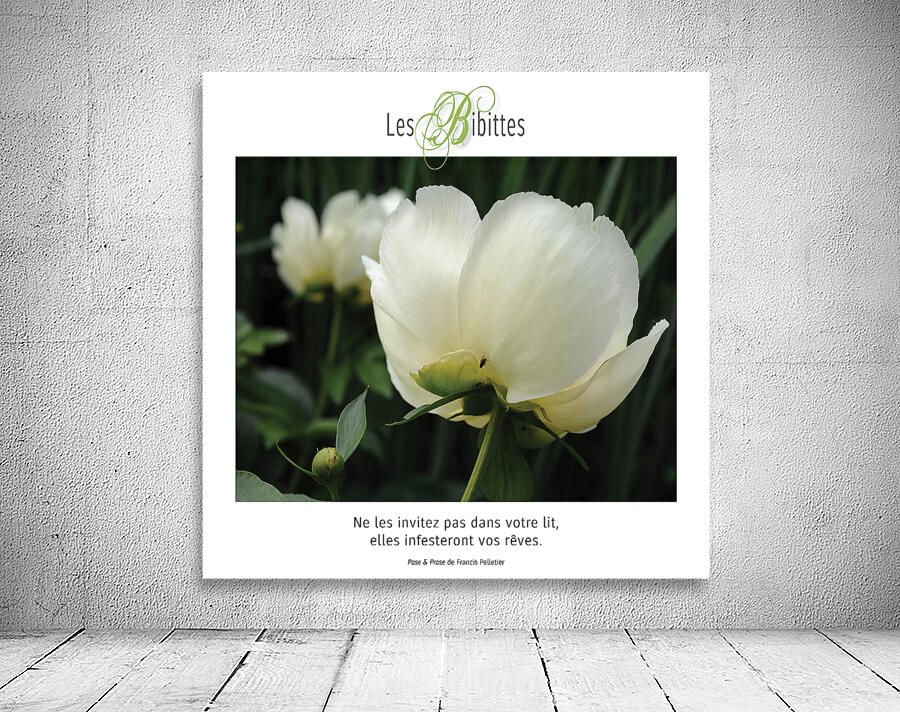 LES BIBITTES 11 Wall Preview