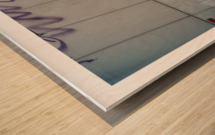 THE LITTLE GIANTS Wood print