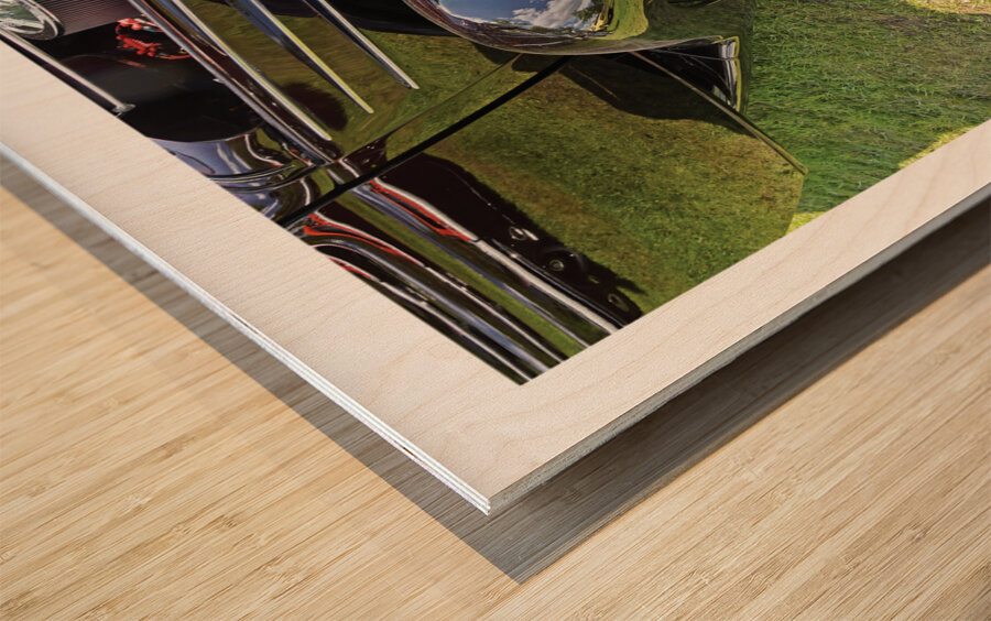 AUTO PORTRAIT 113 Wood print