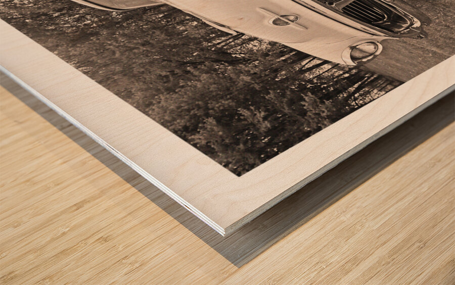 AUTO PORTRAIT 202 Wood print