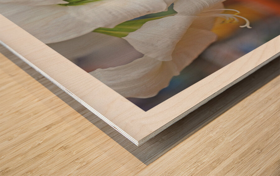 LE GENIE DE LA SIMPLICITE Wood print