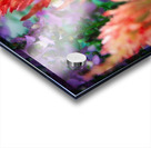 Celosia  Acrylic print