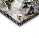 Concentration  Acrylic print