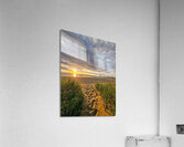 This way to peace Acrylic Print