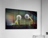 Take a bow Acrylic Print