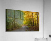 Centered Acrylic Print