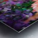 Celosia  Metal print