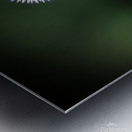 Take a bow Metal print