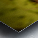 The mighty one  Metal print