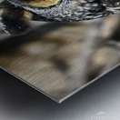 Concentration  Metal print