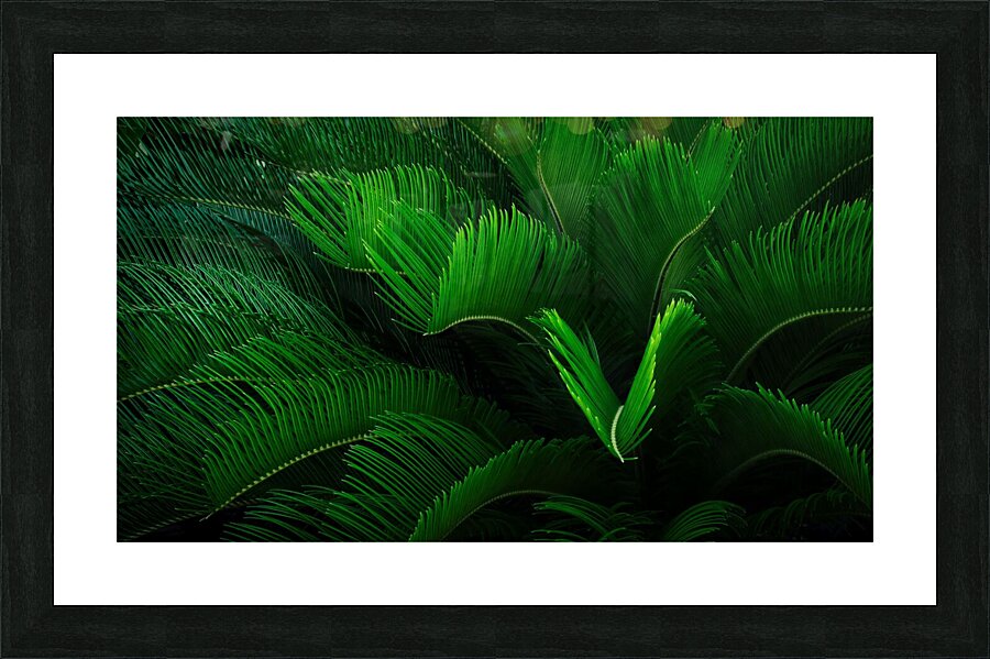 Green Envy  Picture Frame print