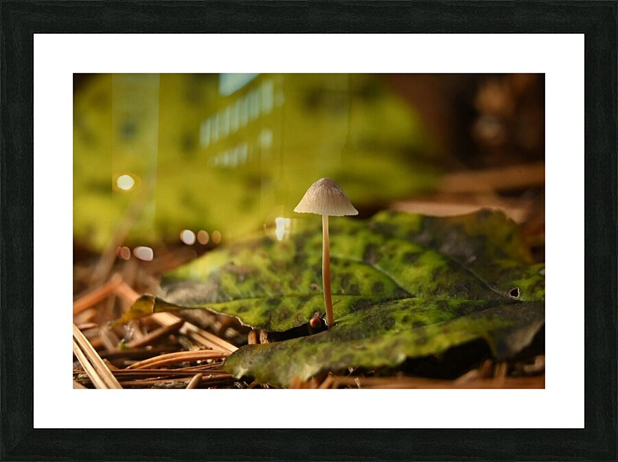 The mighty one  Picture Frame print