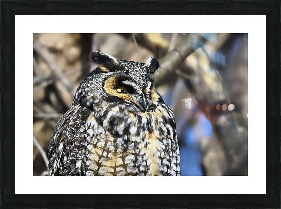 Concentration  Picture Frame print