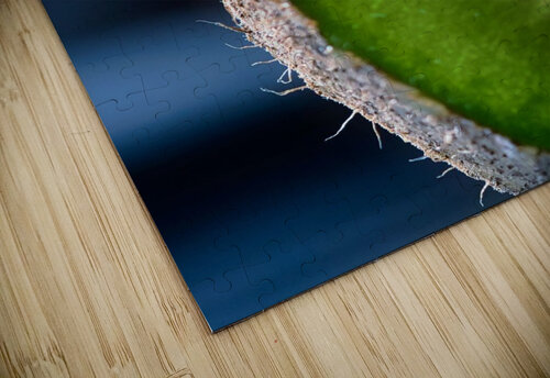 Fresh Slice                         Images by Cheryl Lynn puzzle