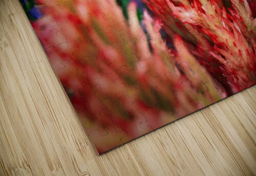 Celosia  Images by Cheryl Lynn puzzle