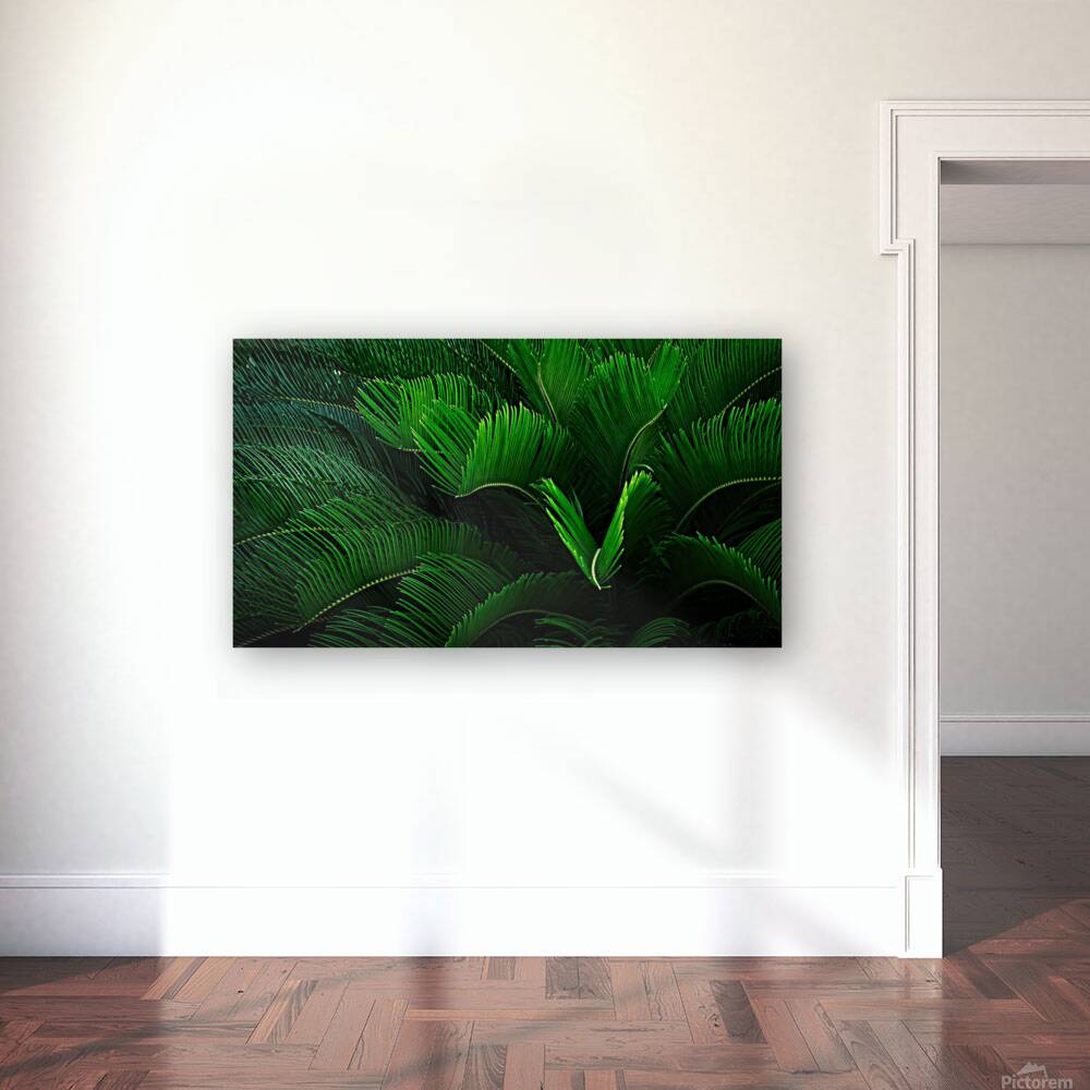 Green Envy  Reproduction