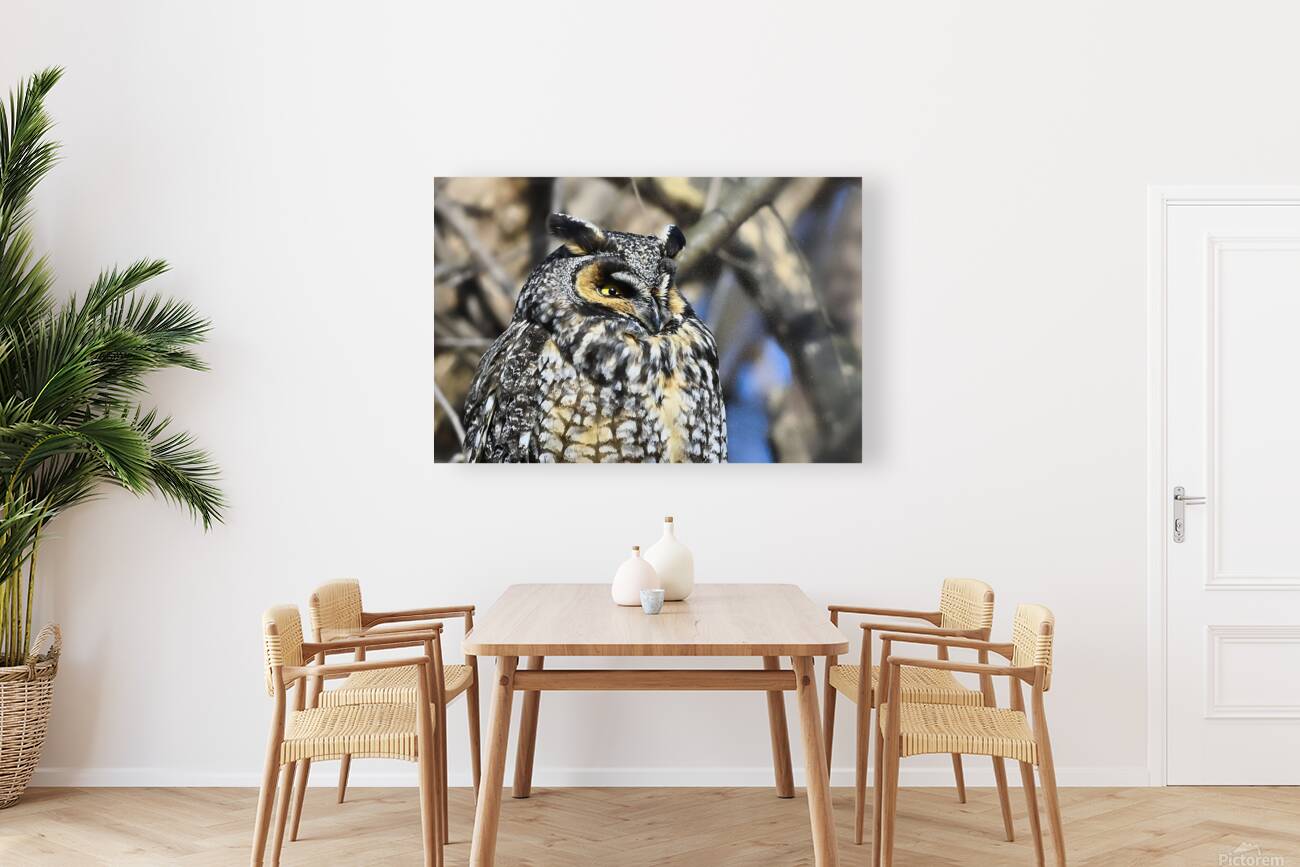 Concentration  Reproduction