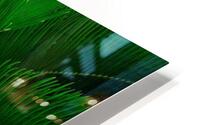 Green Envy  HD Metal print