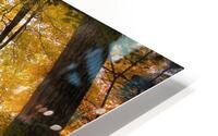 They call her Amber  HD Metal print