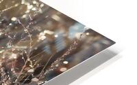 Iced  HD Metal print
