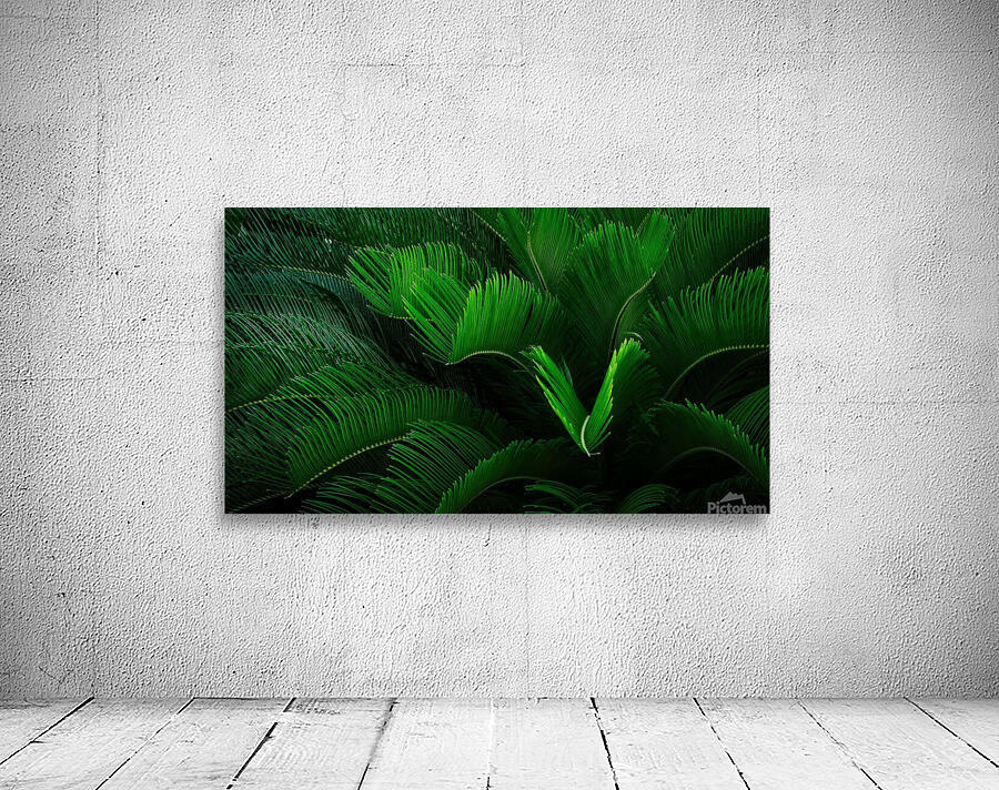 Green Envy  Wall Preview