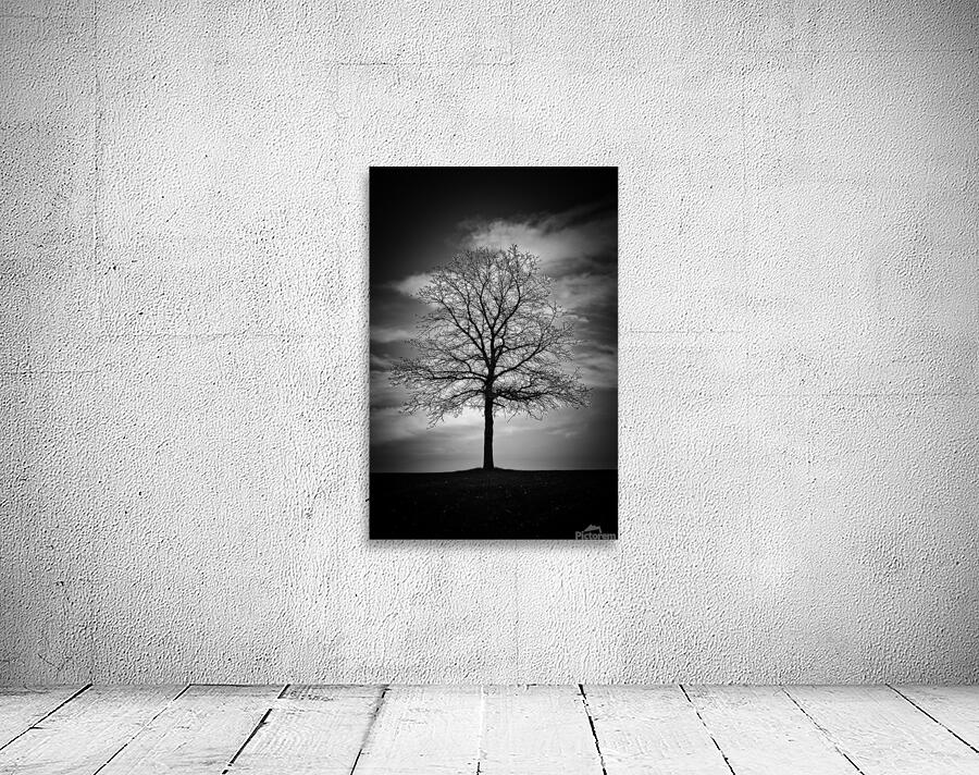 Be Still Wall Preview