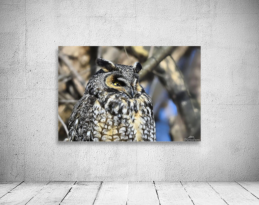 Concentration  Wall Preview