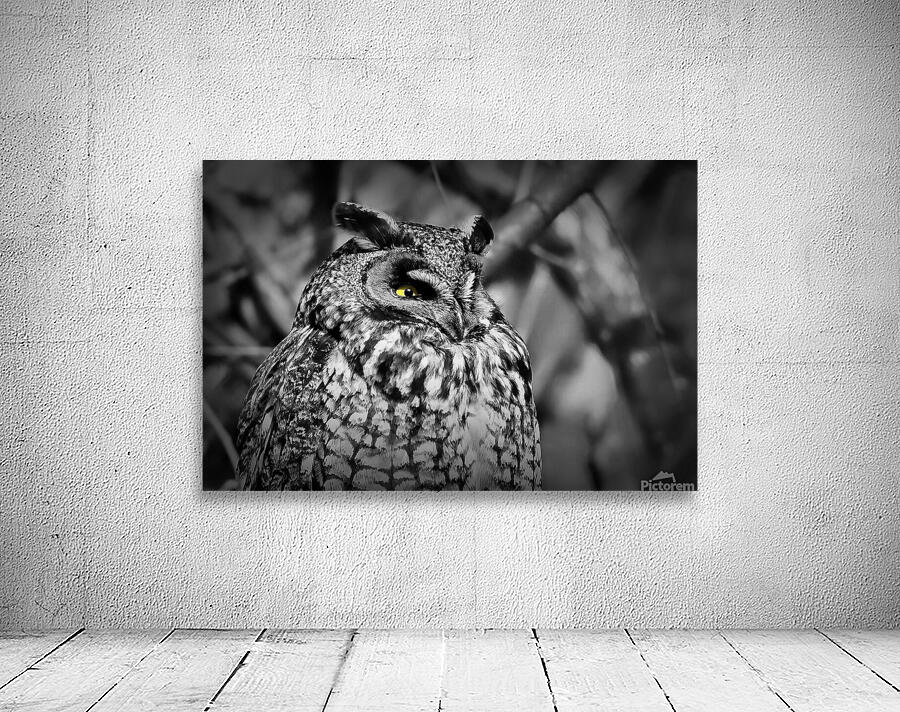 Concentration B&W Wall Preview