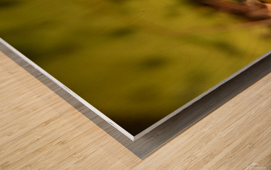 The mighty one  Wood print