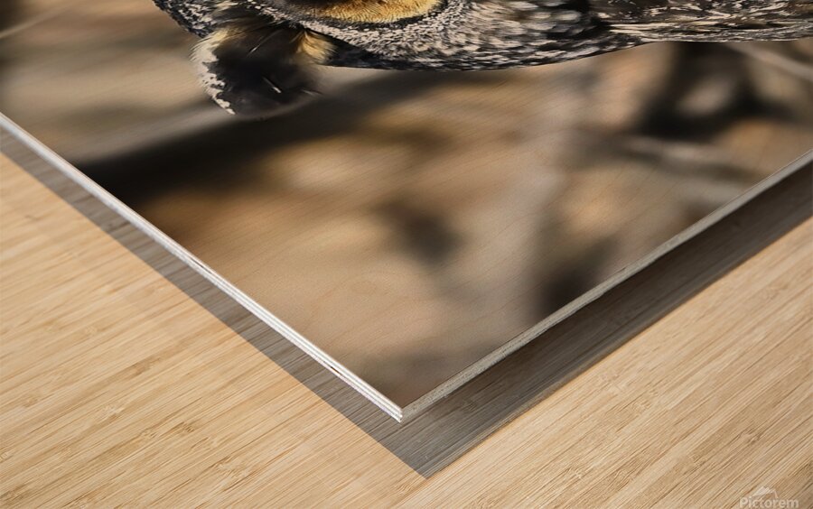 Concentration  Wood print