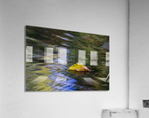  DSC3359 Acrylic Print