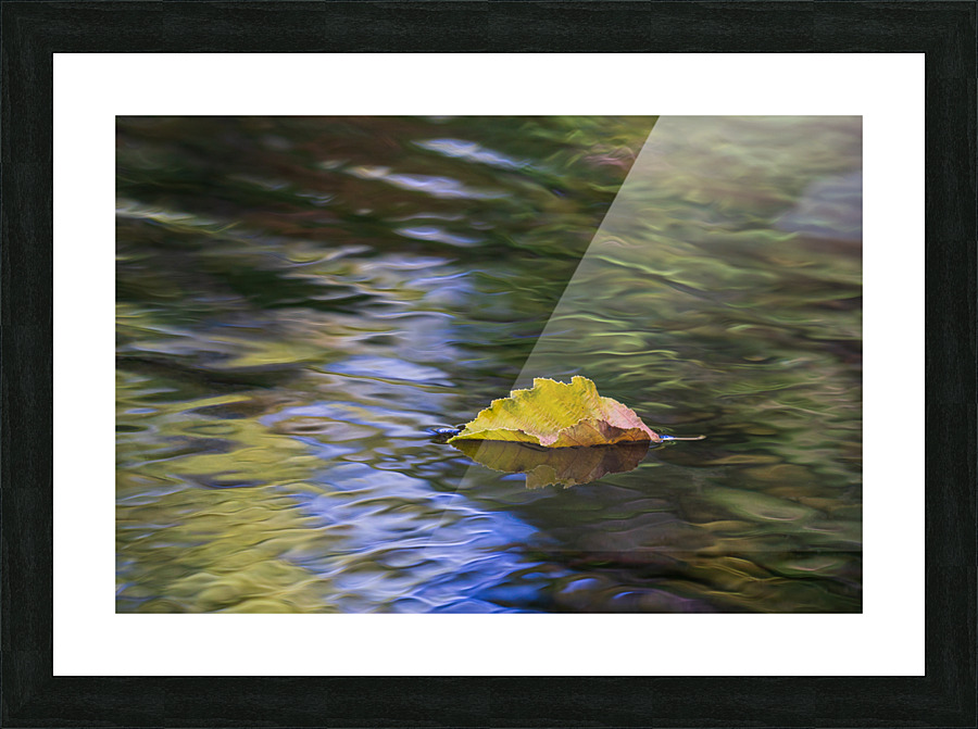  DSC3359 Picture Frame print