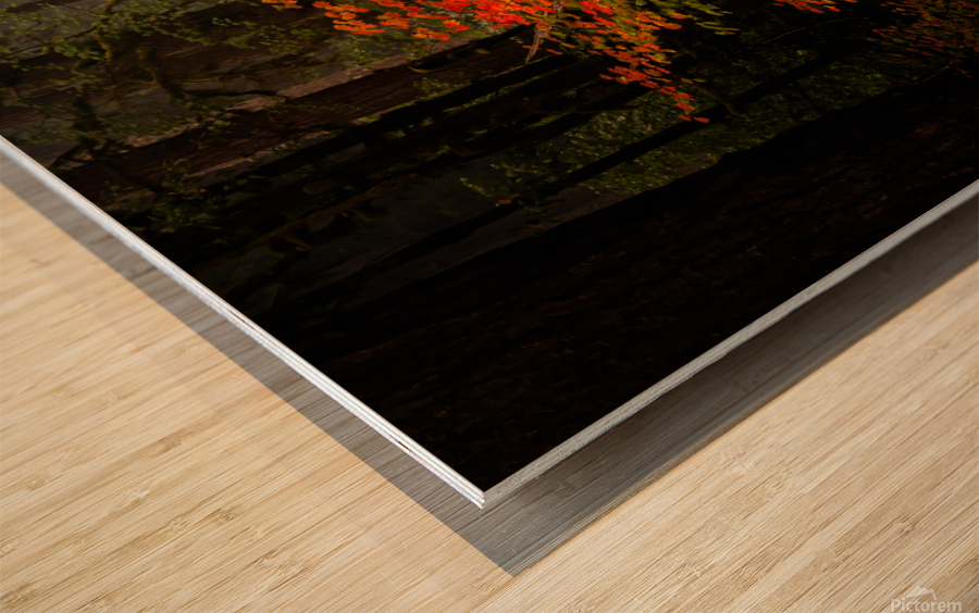  DSC7513 Edit Edit Edit Wood print